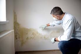 Best Mold Remediation for Healthcare Facilities  in Wyandanch, NY